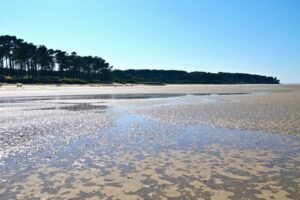 Week-end sur le bassin d'Arcachon : que faire et que voir ?
