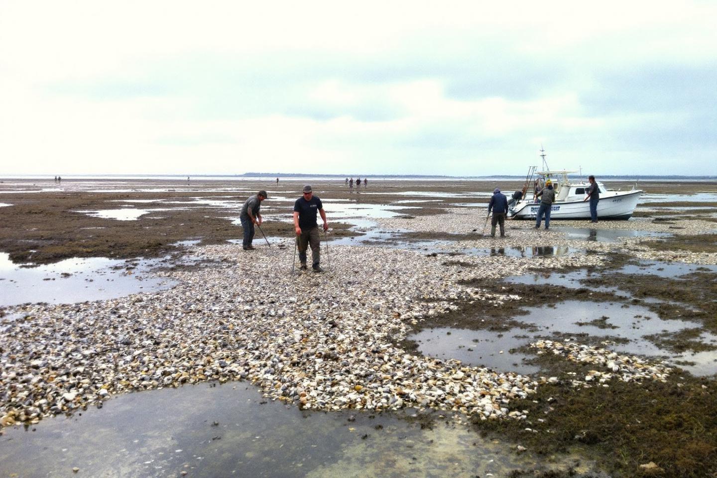 Passage du Gois : route mythique accessible à marée basse en Vendée