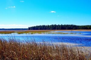 Vacances à La Barre de Monts-Fromentine : plages, forêt et marais