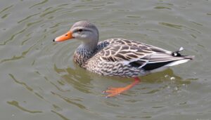 découvrez les incontournables à voir et à faire en 2025 : explorez des lieux fascinants, vivez des expériences uniques et préparez votre voyage idéal pour l'année à venir.